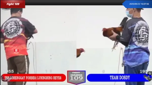 Live stream image of Fight 109 at kuyaplay-casino showing handlers from Team Dosdy and TSP LORENGGAY FORBES/LUNINGNING REYES preparing roosters for cockfighting.